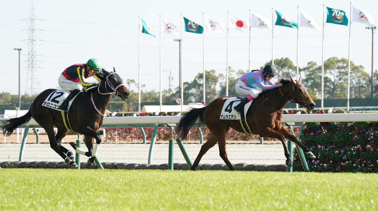 中京5R、1着4番ナムラエデン（撮影・森本幸一）