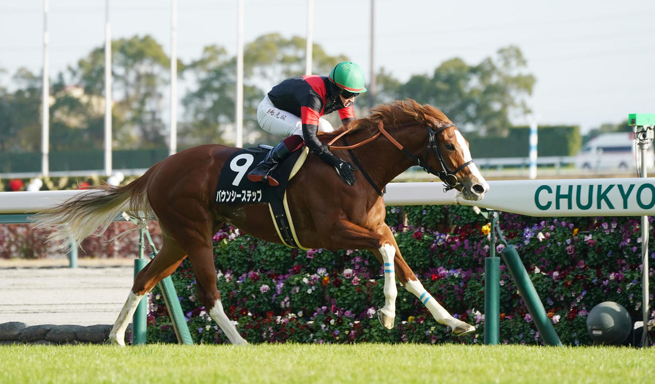 中京9Rつわぶき賞　1着9番バウンシーステップ（撮影・森本幸一）