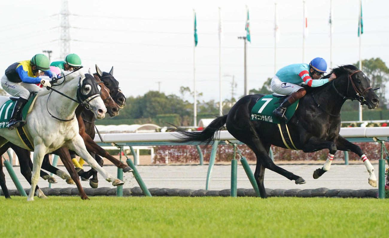 直線で力強く抜け出し中日新聞杯を制したヤマニンサルバム（撮影・森本幸一）