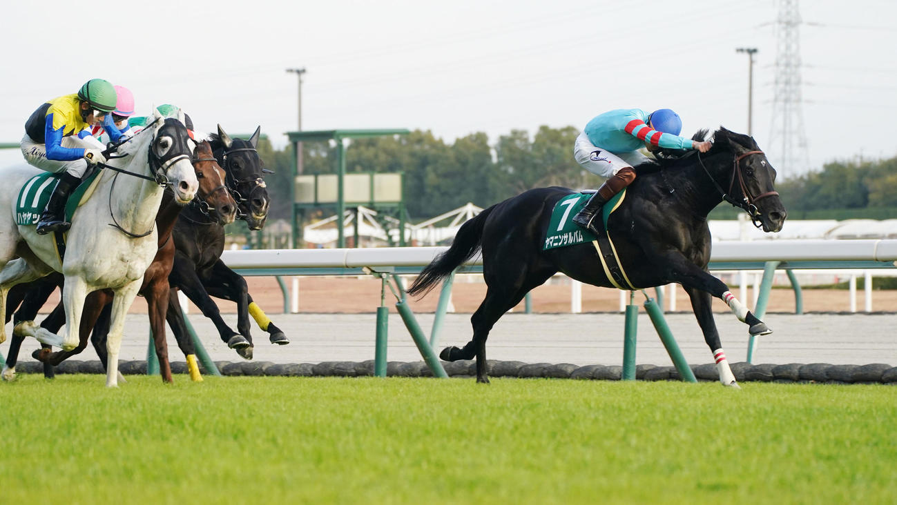 直線で力強く抜け出し中日新聞杯を制したヤマニンサルバム（右）（撮影・森本幸一）