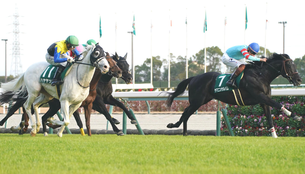 直線で力強く抜け出し中日新聞杯を制したヤマニンサルバム（右）（撮影・森本幸一）