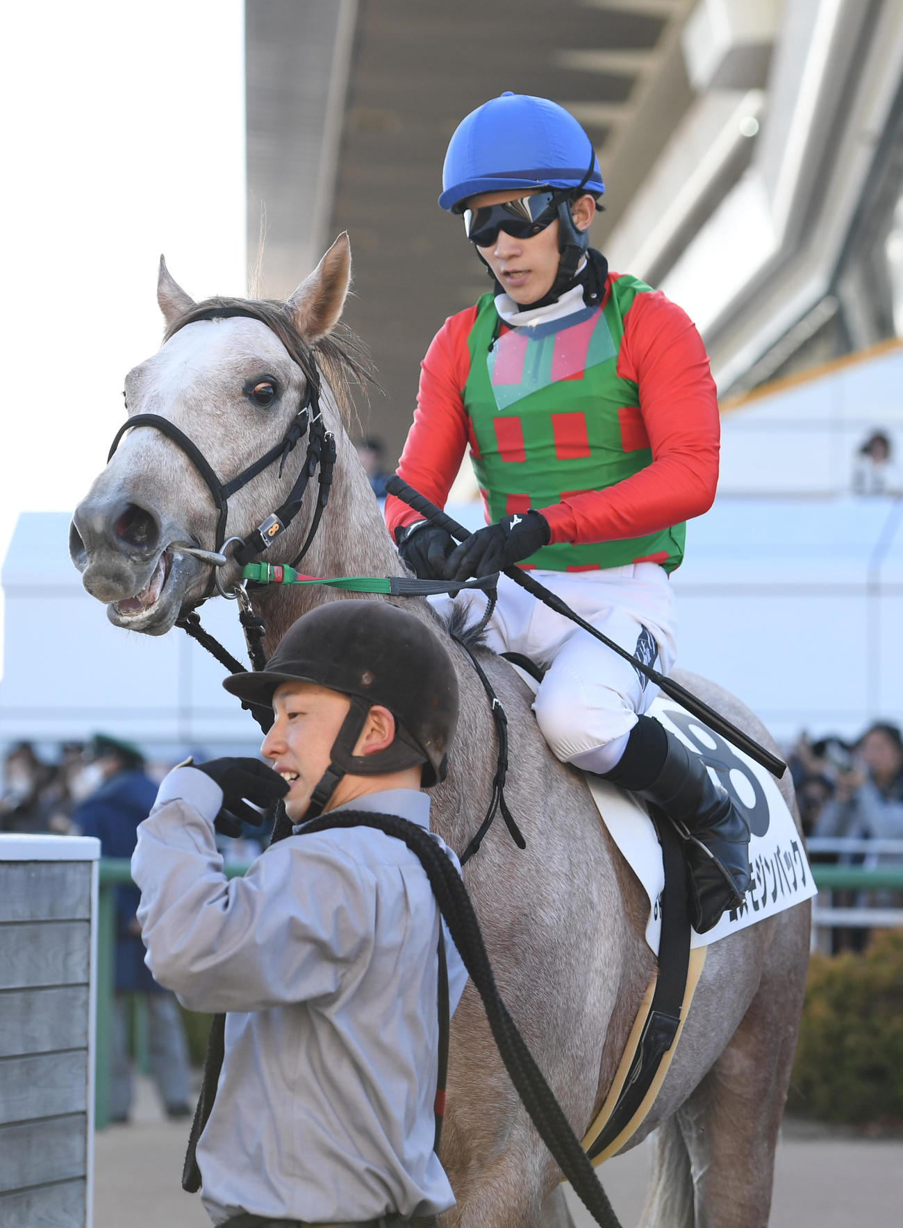 中山6R、新馬戦を制したコスモジンバックと石川騎手（撮影・柴田隆二）