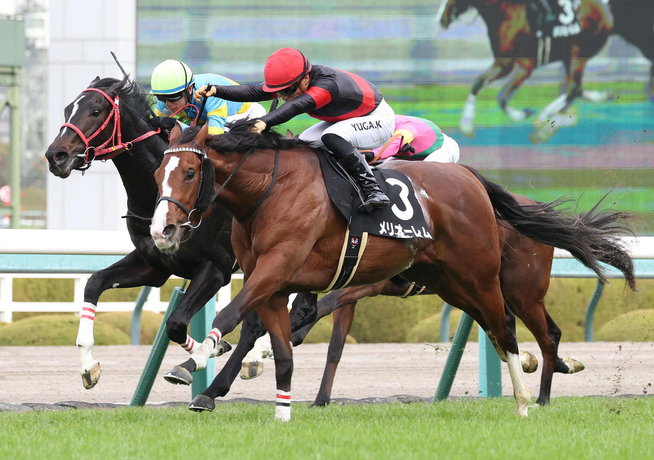 阪神9R、ヒロノラメール（左）を差し切ってエリカ賞を制したメリオーレム（撮影・白石智彦）
