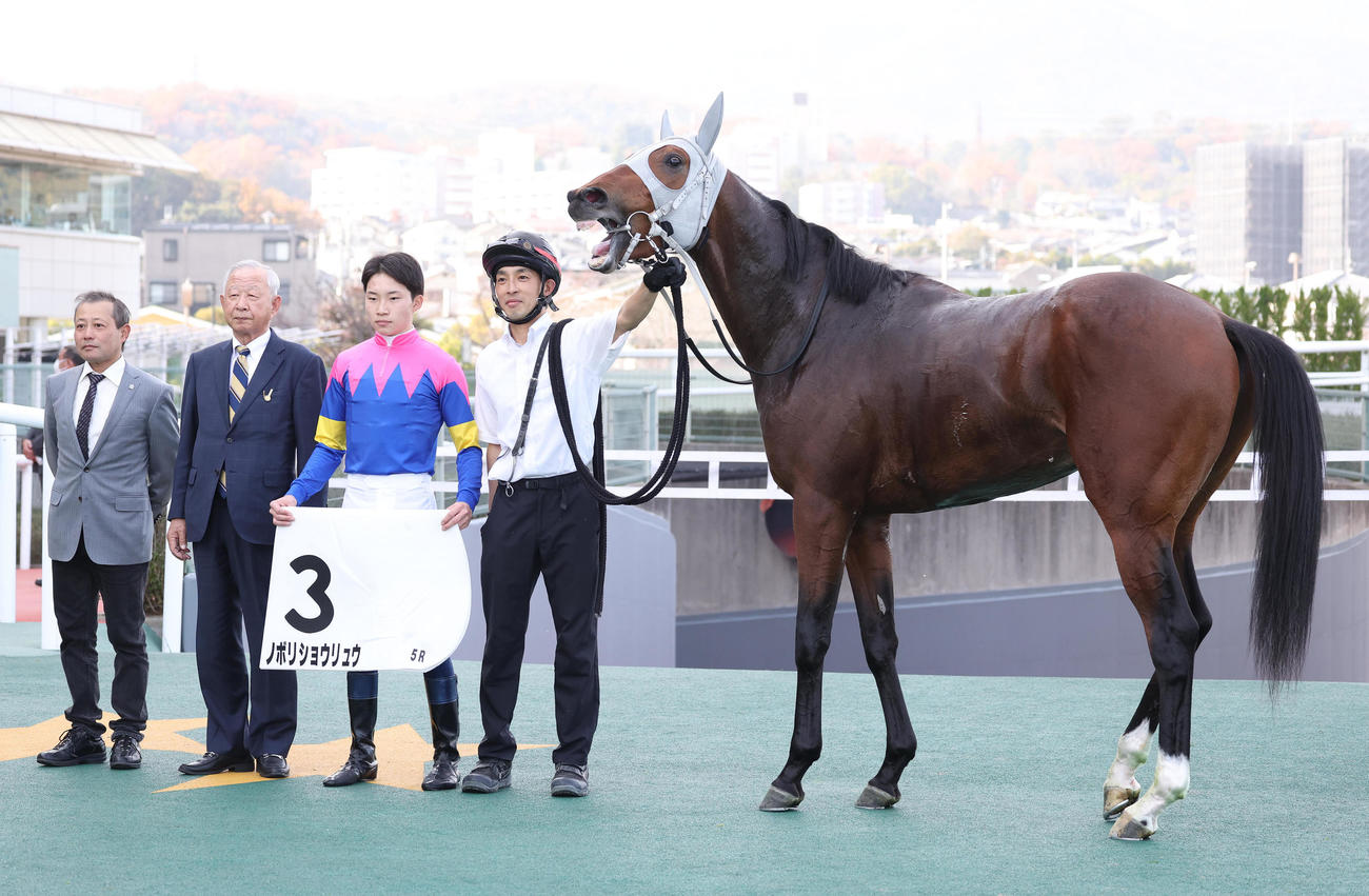 阪神5R、新馬戦を制したノボリショウリュウと口取りに並ぶ角田河騎手（右から2人目）（撮影・白石智彦）