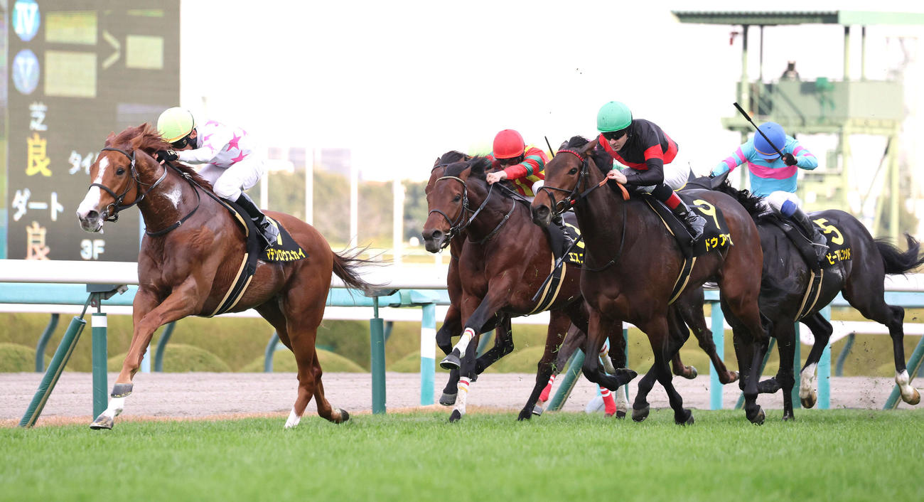 阪神11R、直線抜け出してリゲルSを制したマテンロウスカイ（左）（撮影・白石智彦）