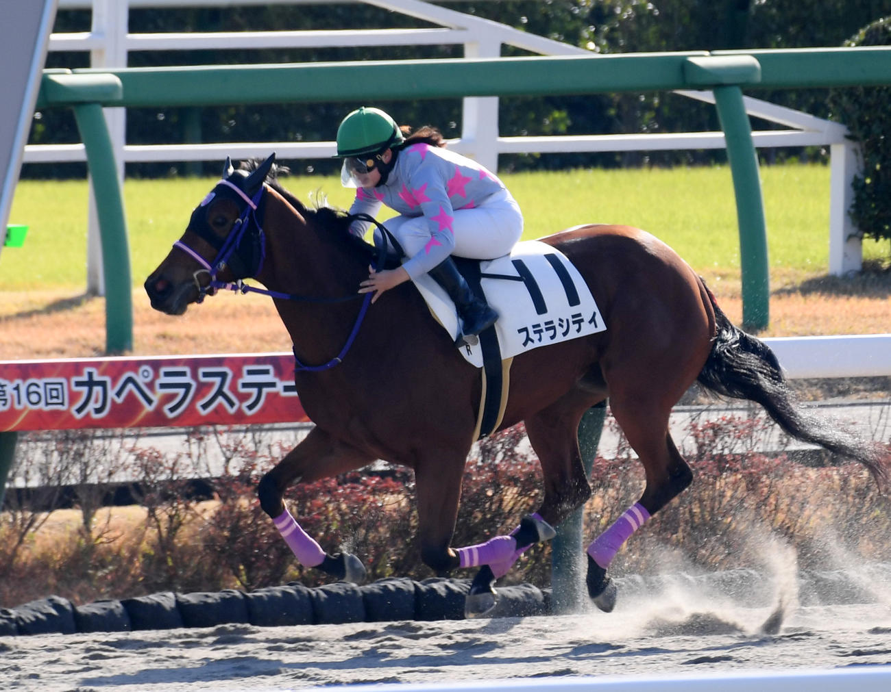 中山1Rで1着のステラシティと小林美駒騎手（撮影・柴田隆二）