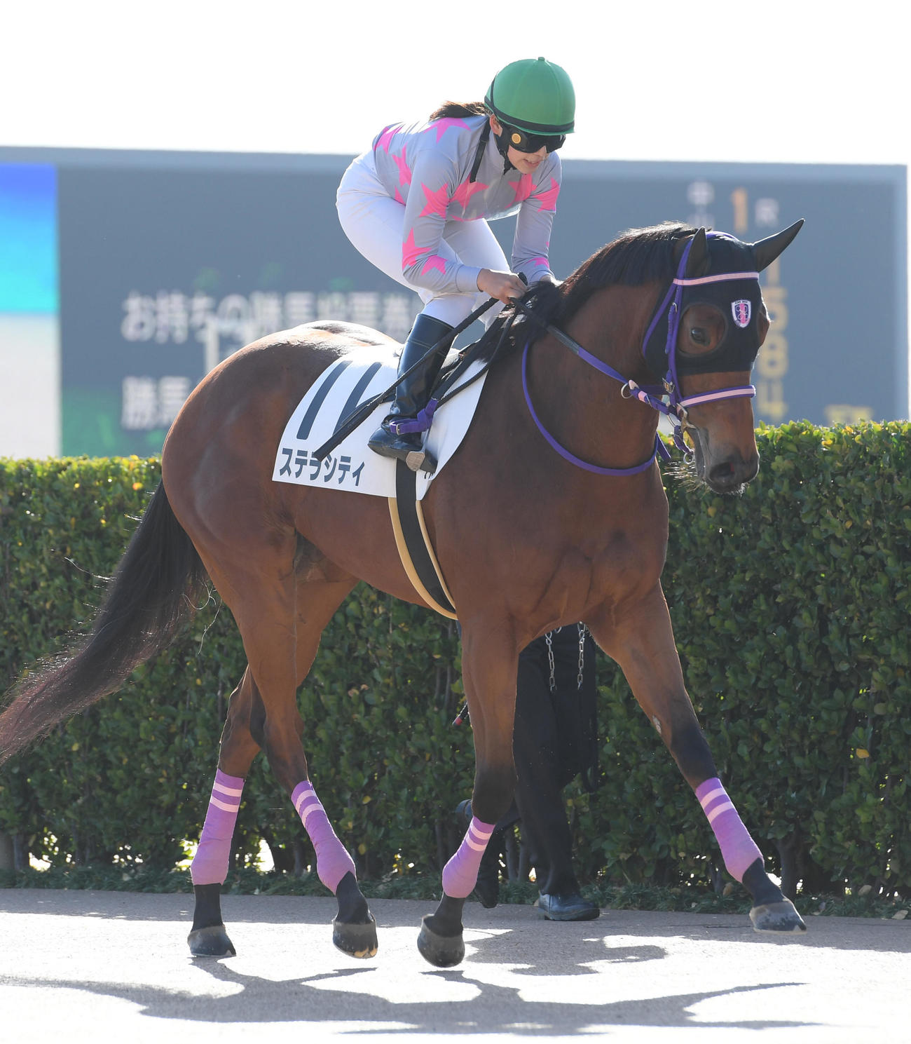 中山1Rで1着のステラシティと小林美駒騎手（撮影・柴田隆二）