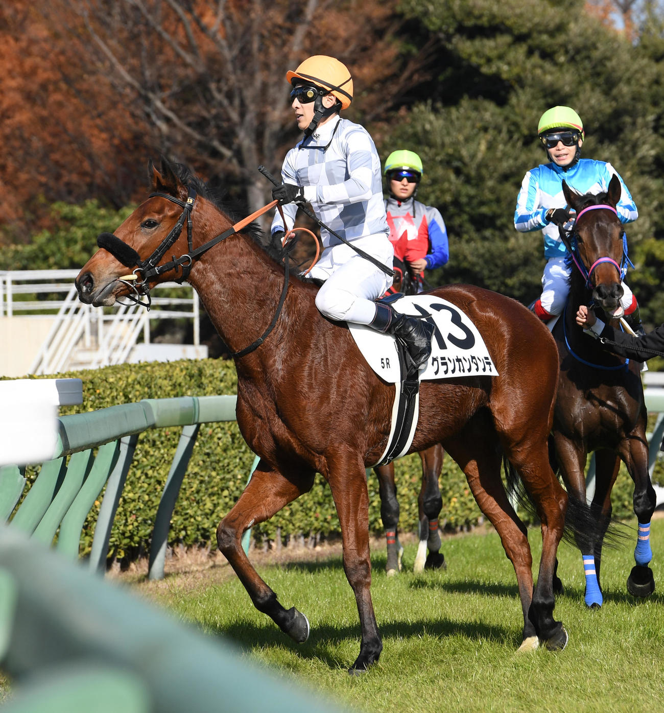 中山5R新馬戦を制したグランカンタンテと藤岡佑騎手（撮影・柴田隆二）