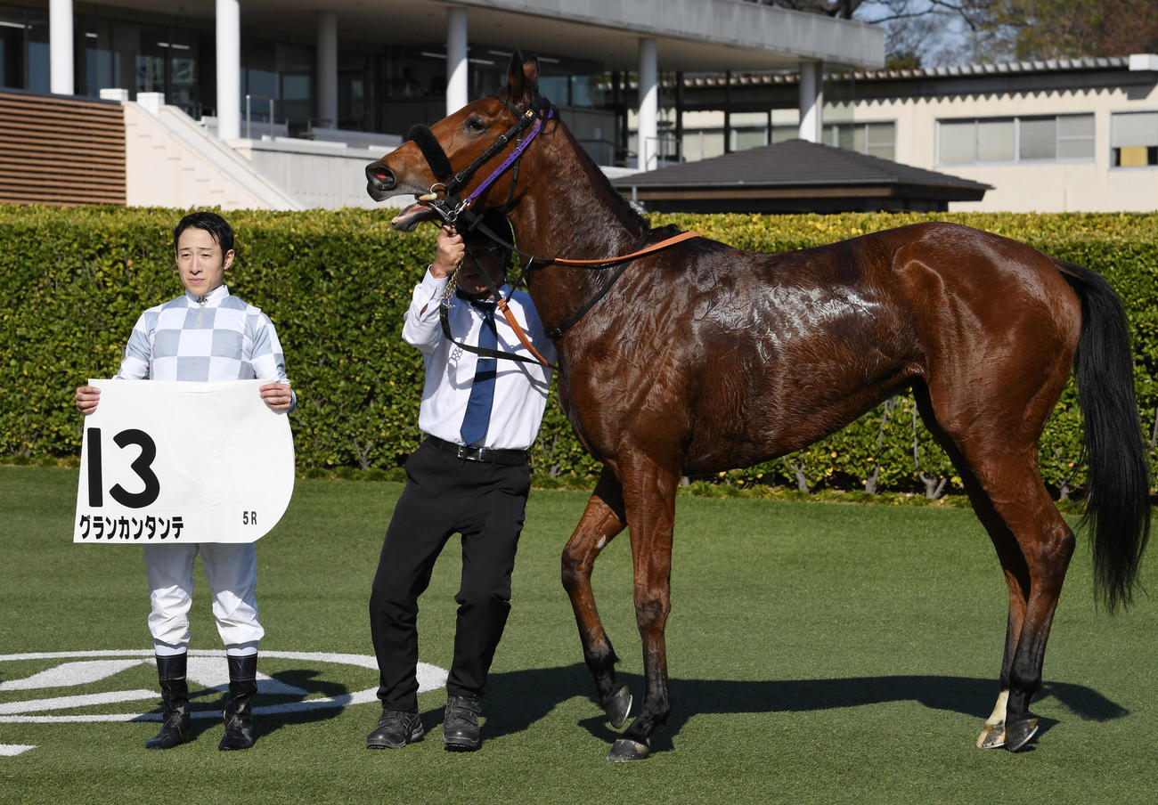 中山5R新馬戦を制したグランカンタンテと藤岡佑騎手（撮影・柴田隆二）