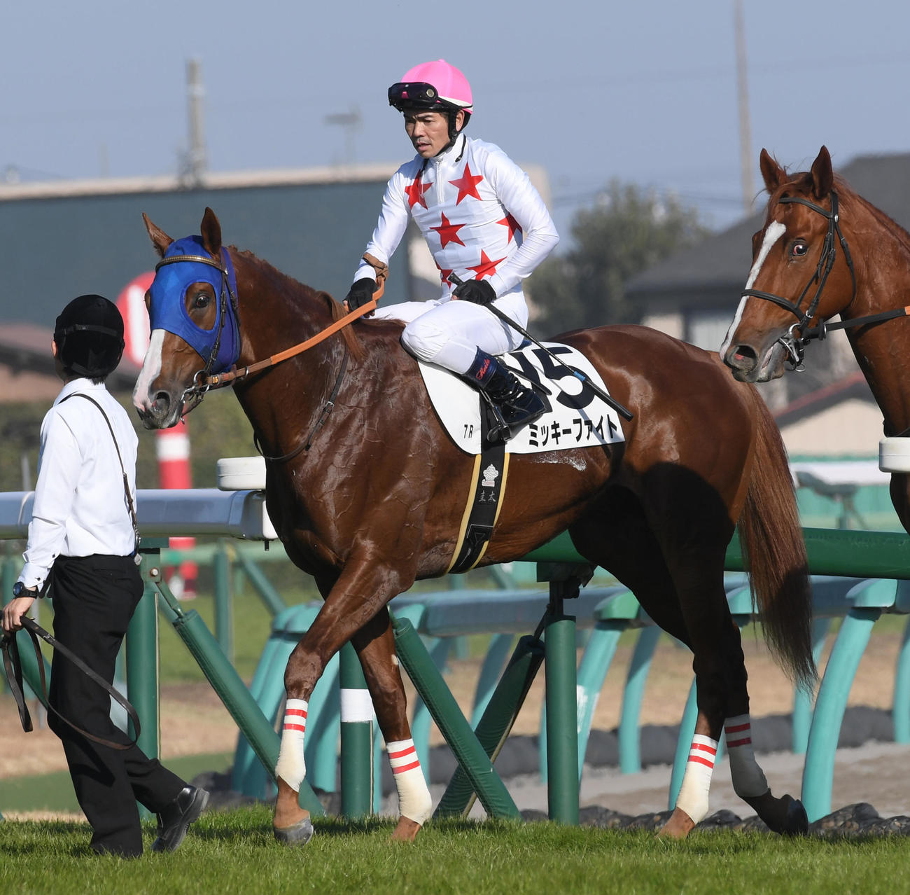 中山7Rで1着のミッキーファイトと戸崎圭太騎手（撮影・柴田隆二）