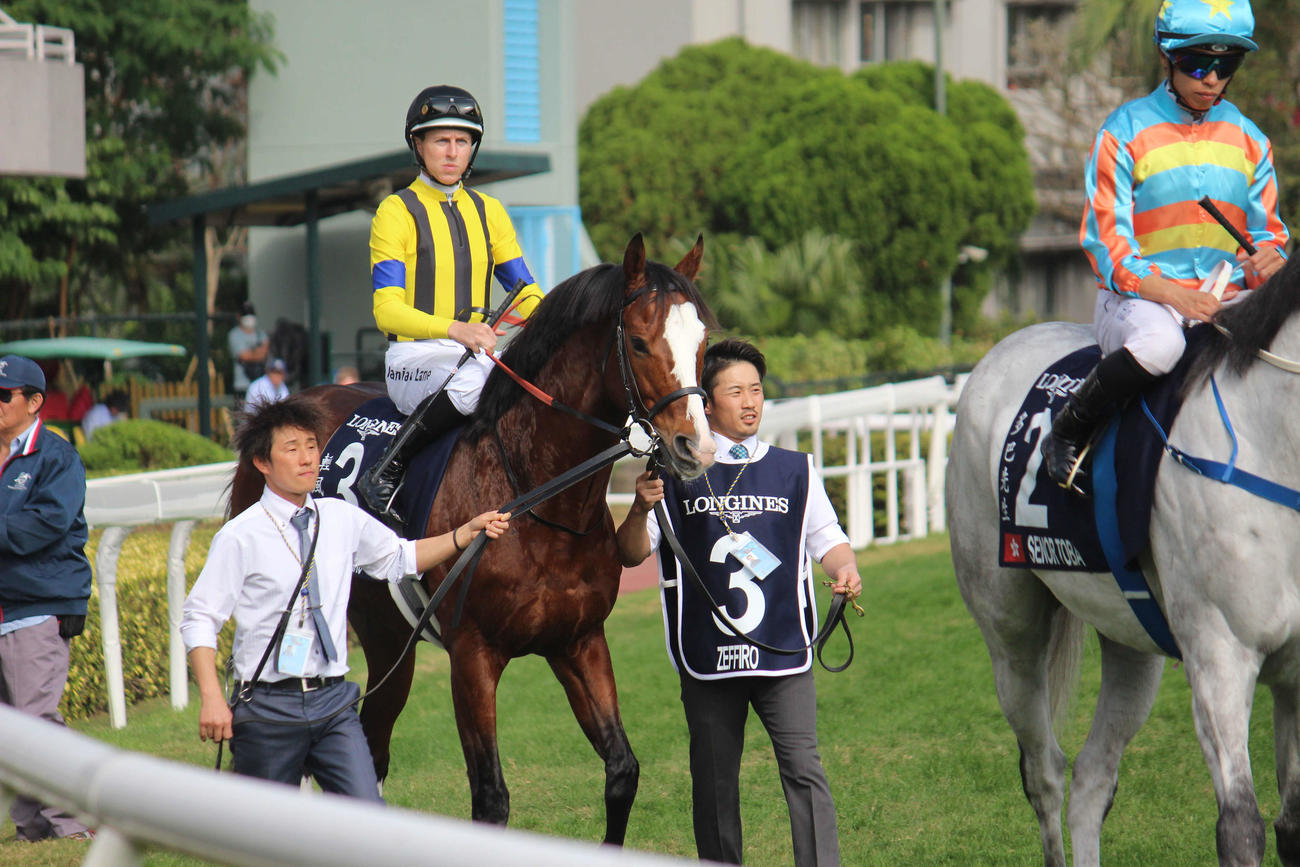 香港ヴァーズ2着ゼッフィーロ