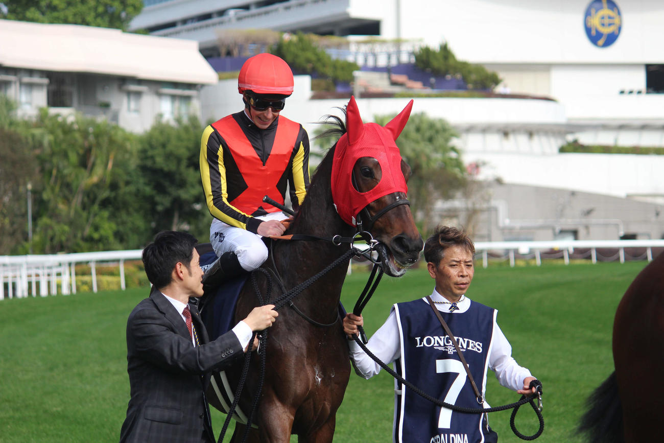 香港ヴァーズ4着ジェラルディーナ