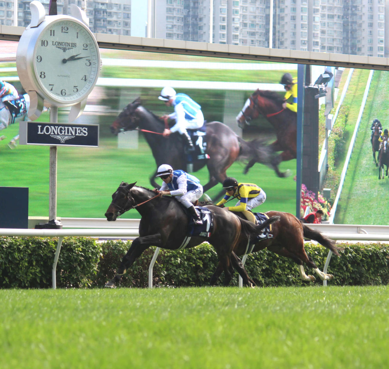 香港ヴァーズ1着ジュンコ（左）と2着のゼッフィーロ