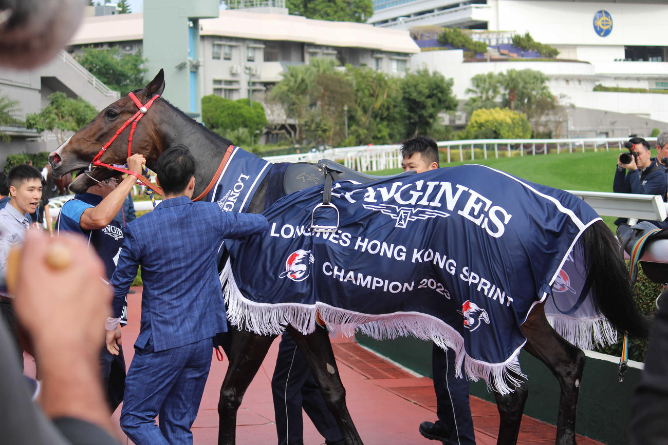 優勝レイを掛けられたラッキースワイネス