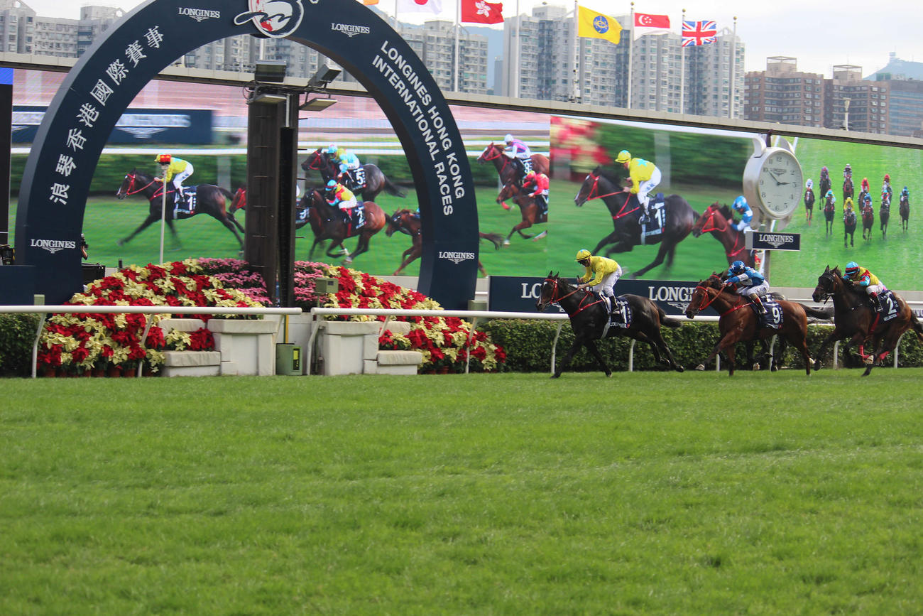 香港スプリントを勝ったラッキースワイネス（撮影：井上力心）