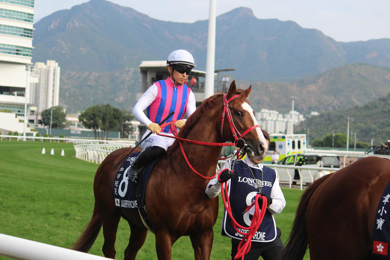 本馬場入場するジャスパークローネ（撮影：井上力心）