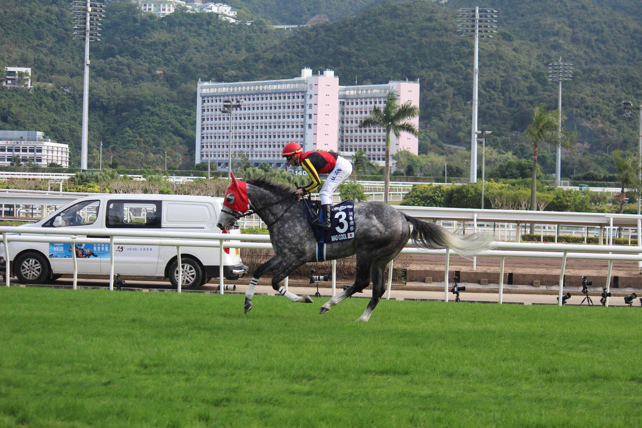 返し馬を行うマッドクール