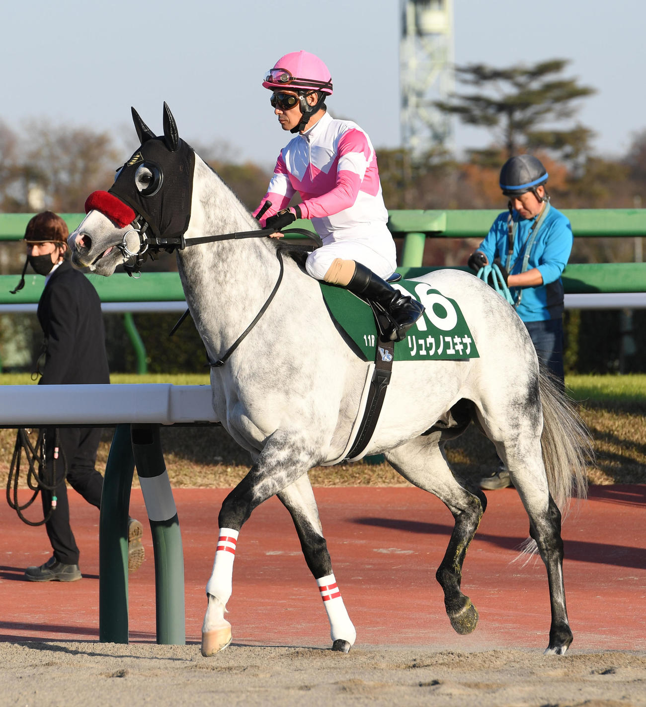 カペラSで4着に敗れたリュウノユキナと柴田善騎手（撮影・柴田隆二）