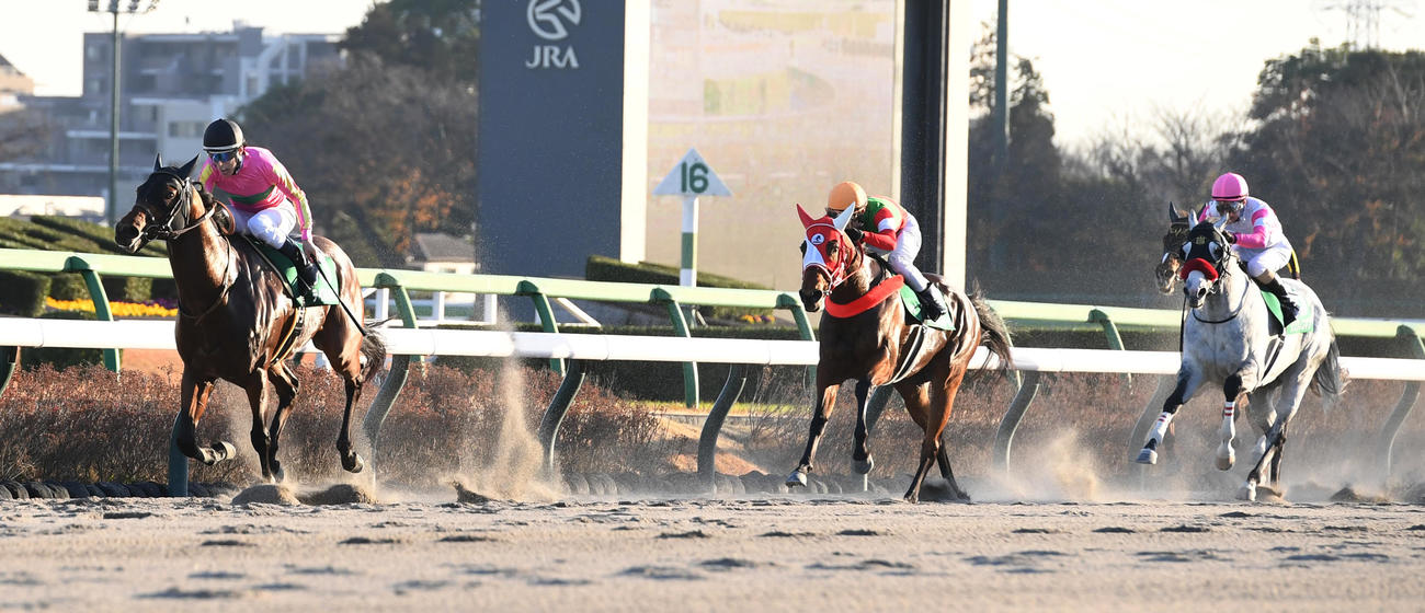 カペラSを制したテイエムトッキュウ（左）、2着チェイスザドリーム（中央）、4着リュウノユキナ