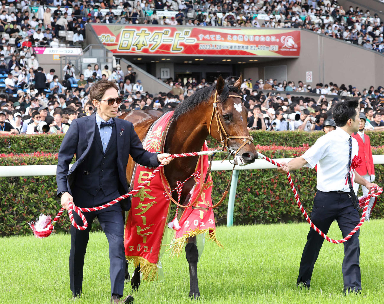 日本ダービーを制したタスティエーラ（2023年5月28日撮影）