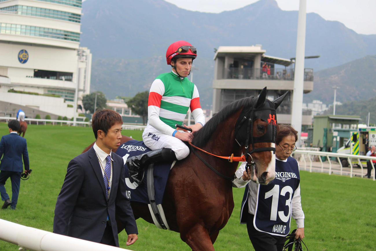 香港マイルで3着に入った本馬場入場時のナミュール（撮影・井上力心）