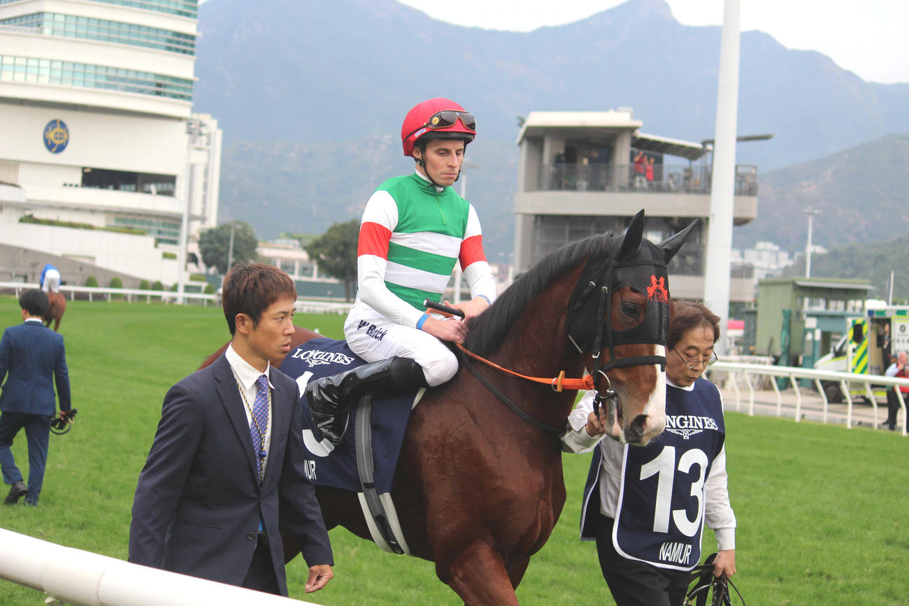 香港マイルで3着に入った本馬場入場時のナミュール（撮影・井上力心）