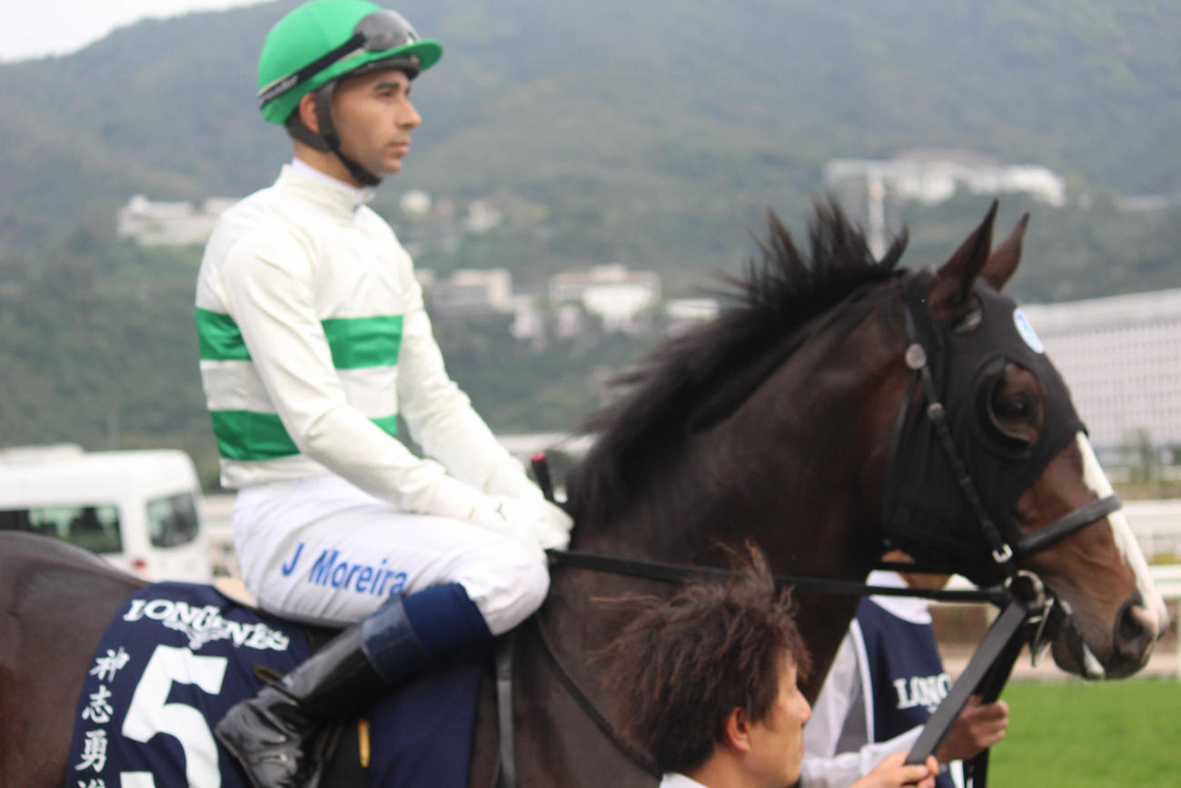 モレイラ騎手を背に、本馬場入場するソウルラッシュ（撮影：井上力心）