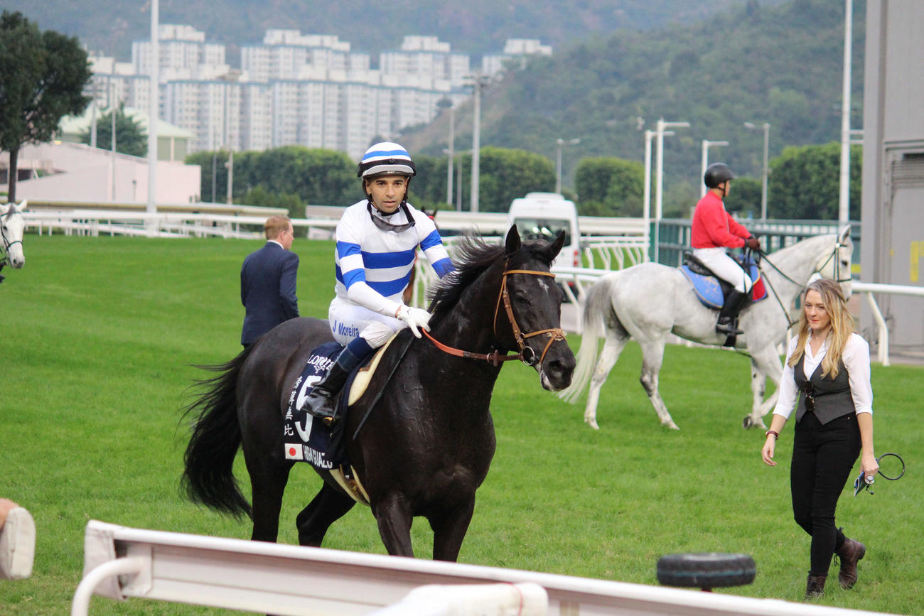 引き揚げる香港カップ3着ヒシイグアス