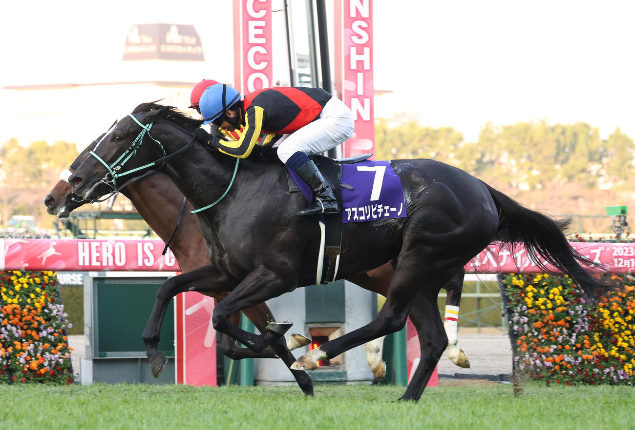 ステレンボッシュ（奥）との競り合いを制して3連勝で阪神JFを制したアスコリピチェーノ（撮影・白石智彦）