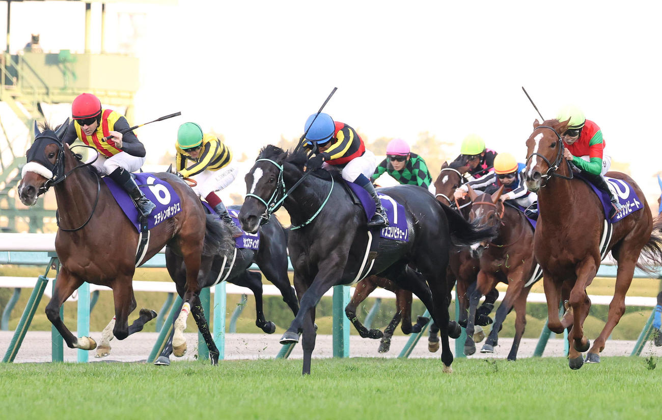 阪神JFを制したアスコリピチェーノ（中央）（撮影・白石智彦）