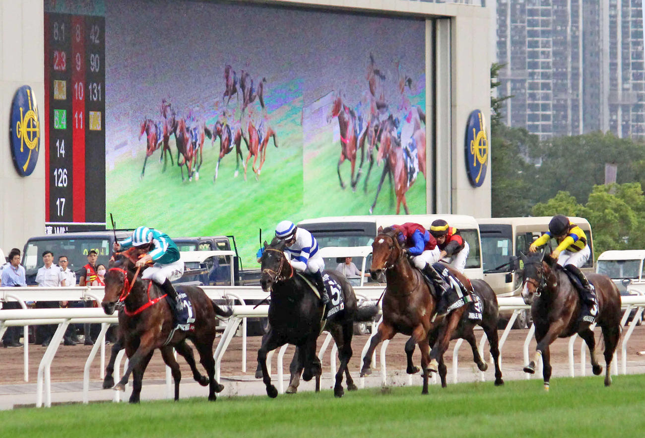 香港カップを制したロマンチックウォリアー（左）、ヒシイグアスは3着、右端は5着プログノーシス