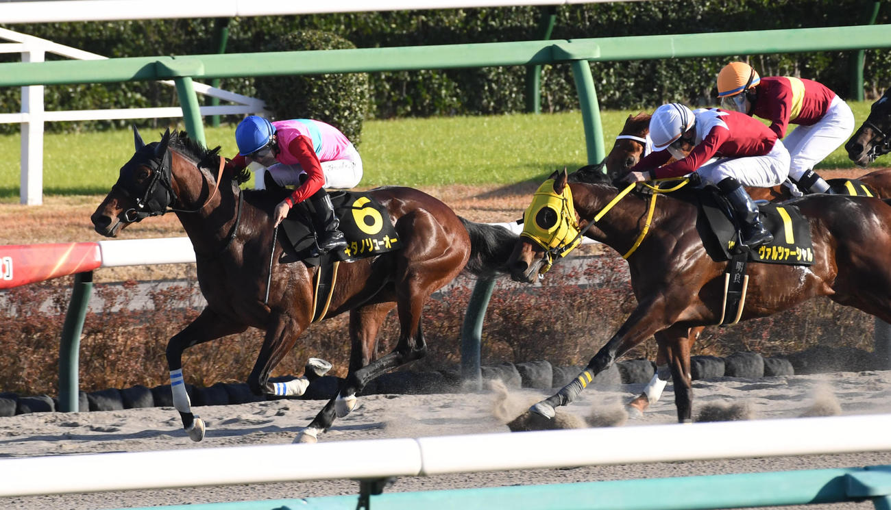 中山10R、師走Sを制したキタノリューオー（左）（撮影・柴田隆二）