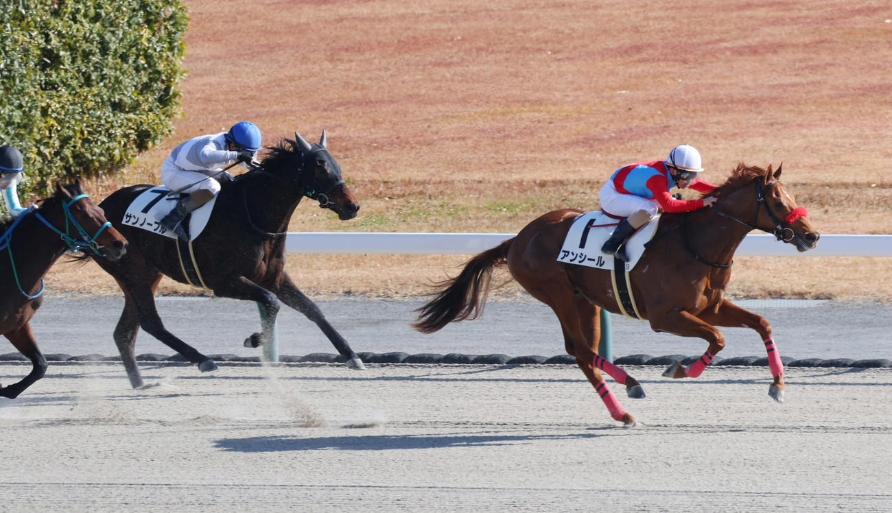 中京5R、新馬戦を制したアンシール（右）（撮影・前田充）