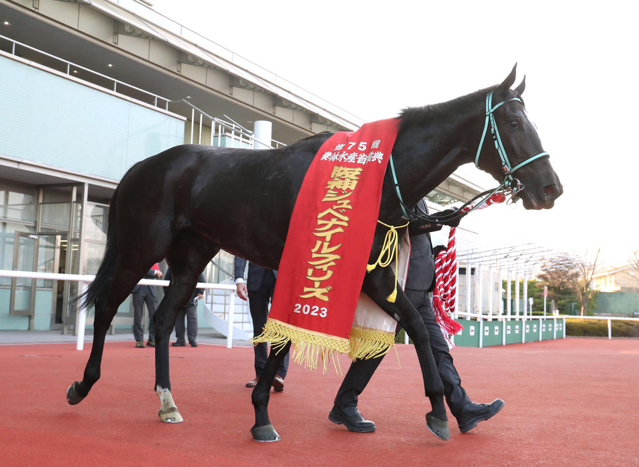 阪神11R、3連勝で阪神JFを制したアスコリピチェーノ（撮影・白石智彦）