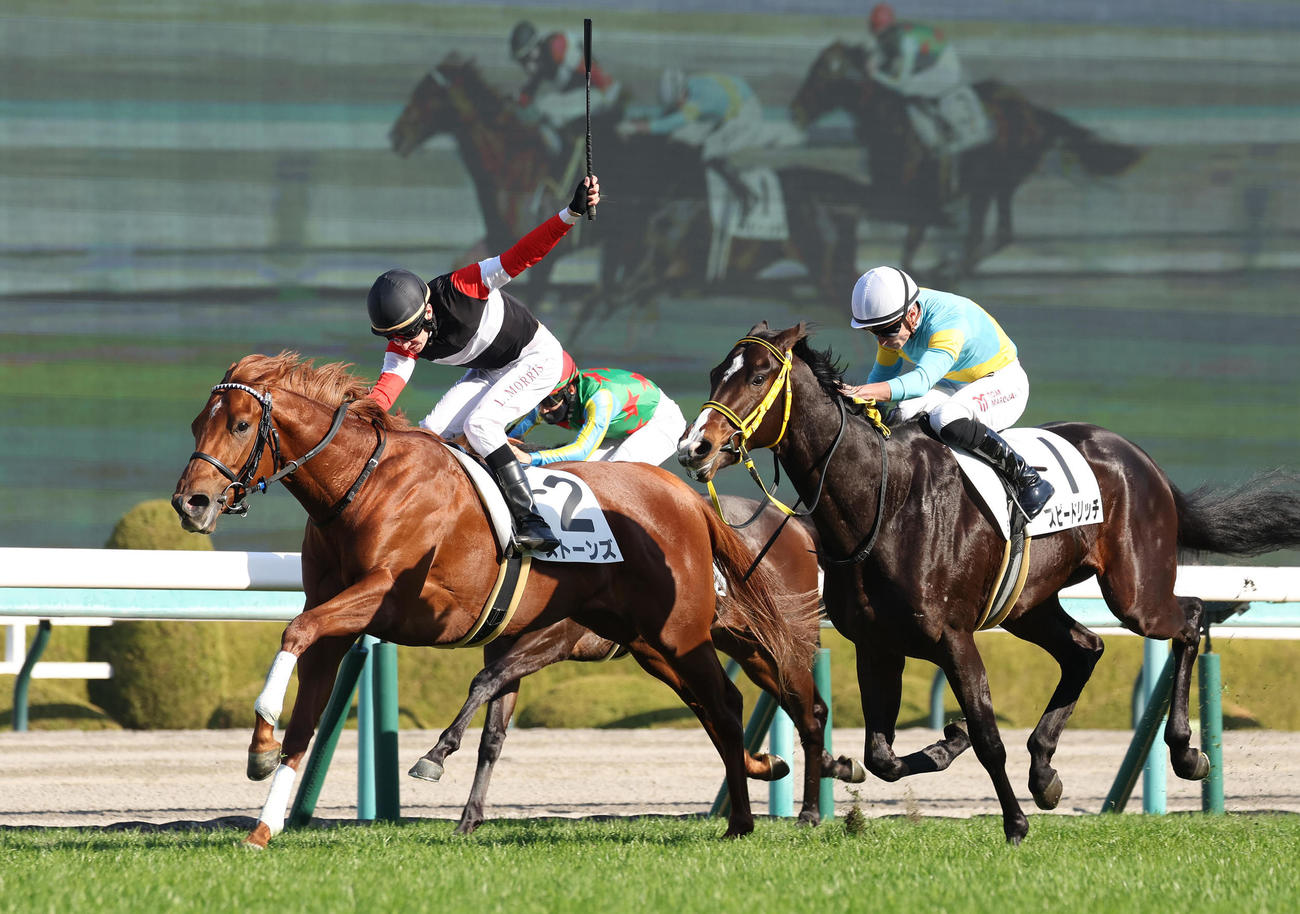 阪神5R、L・モリス騎手のアクションに応えて新馬戦を制したストーンズ（左）（撮影・白石智彦）