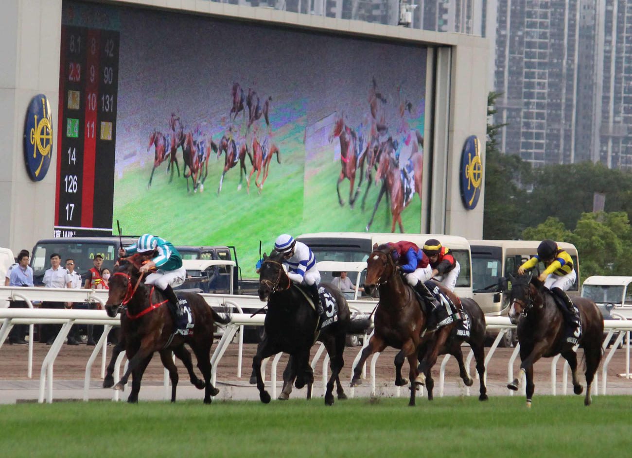 香港カップを制したロマンチックウォリアー（左）。5番ヒシイグアスは3着、右端は5着プログノーシス