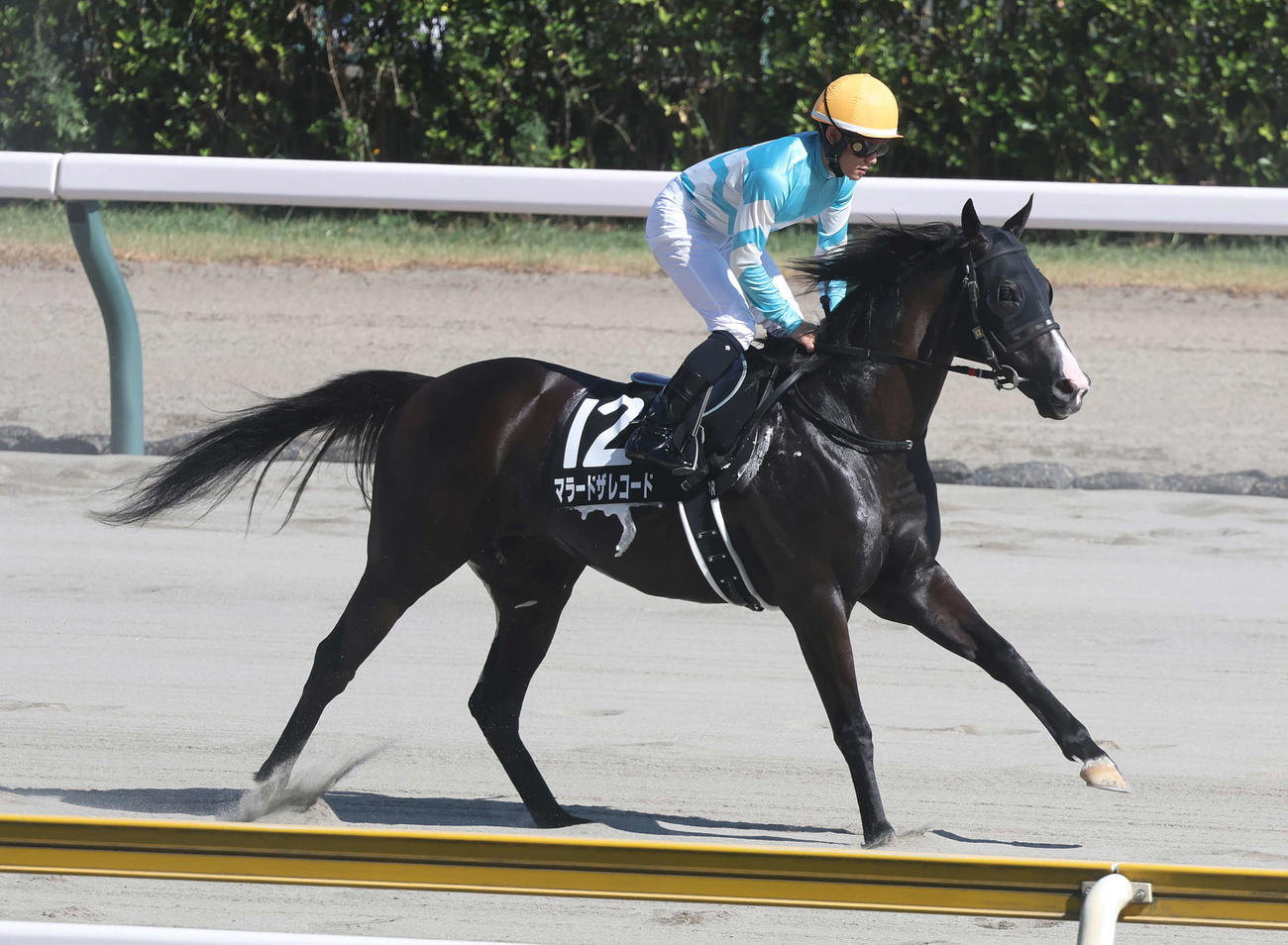 マラードザレコード（2023年8月撮影）