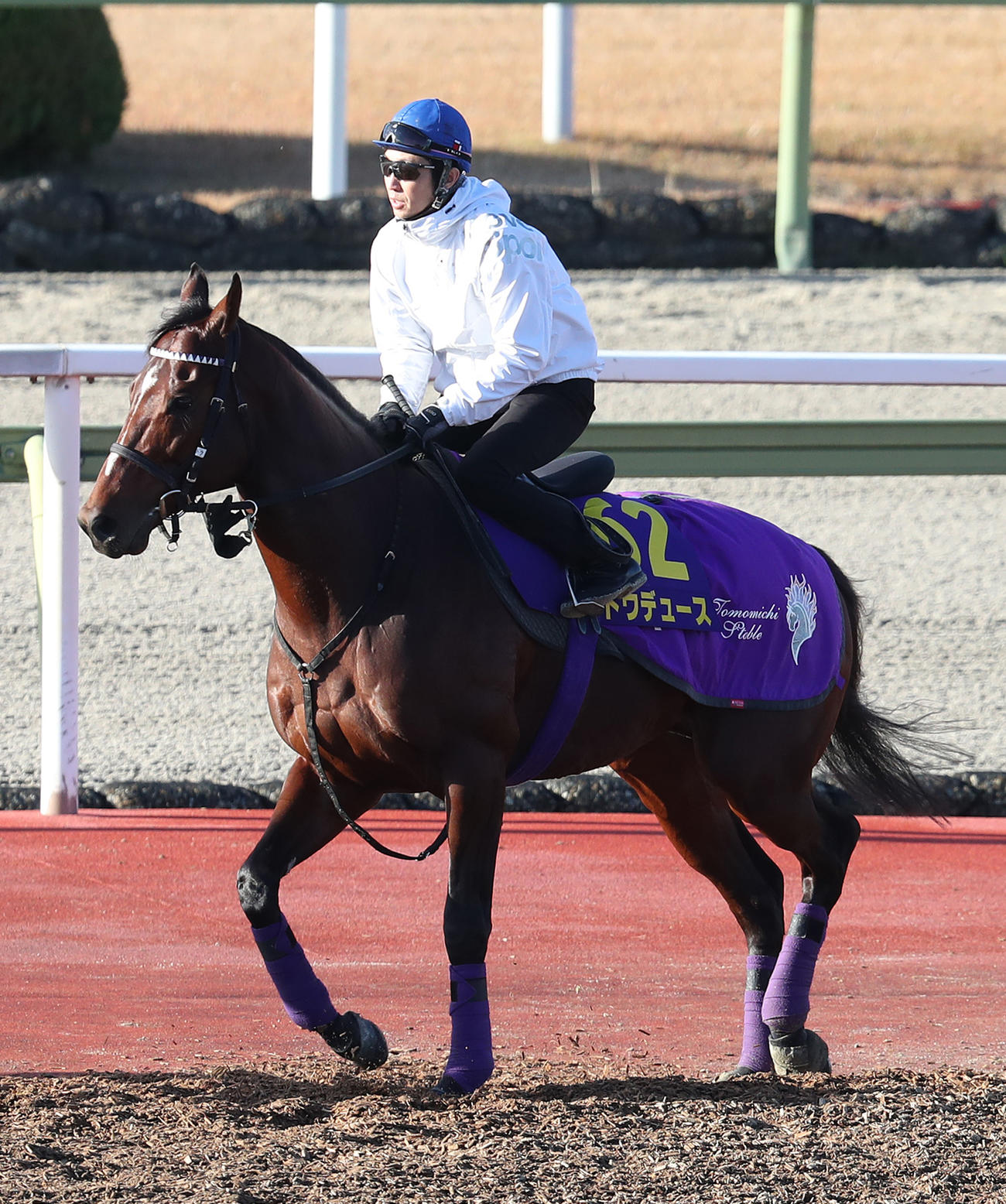 武豊騎手を背に馬場入りするドウデュース（撮影・白石智彦）