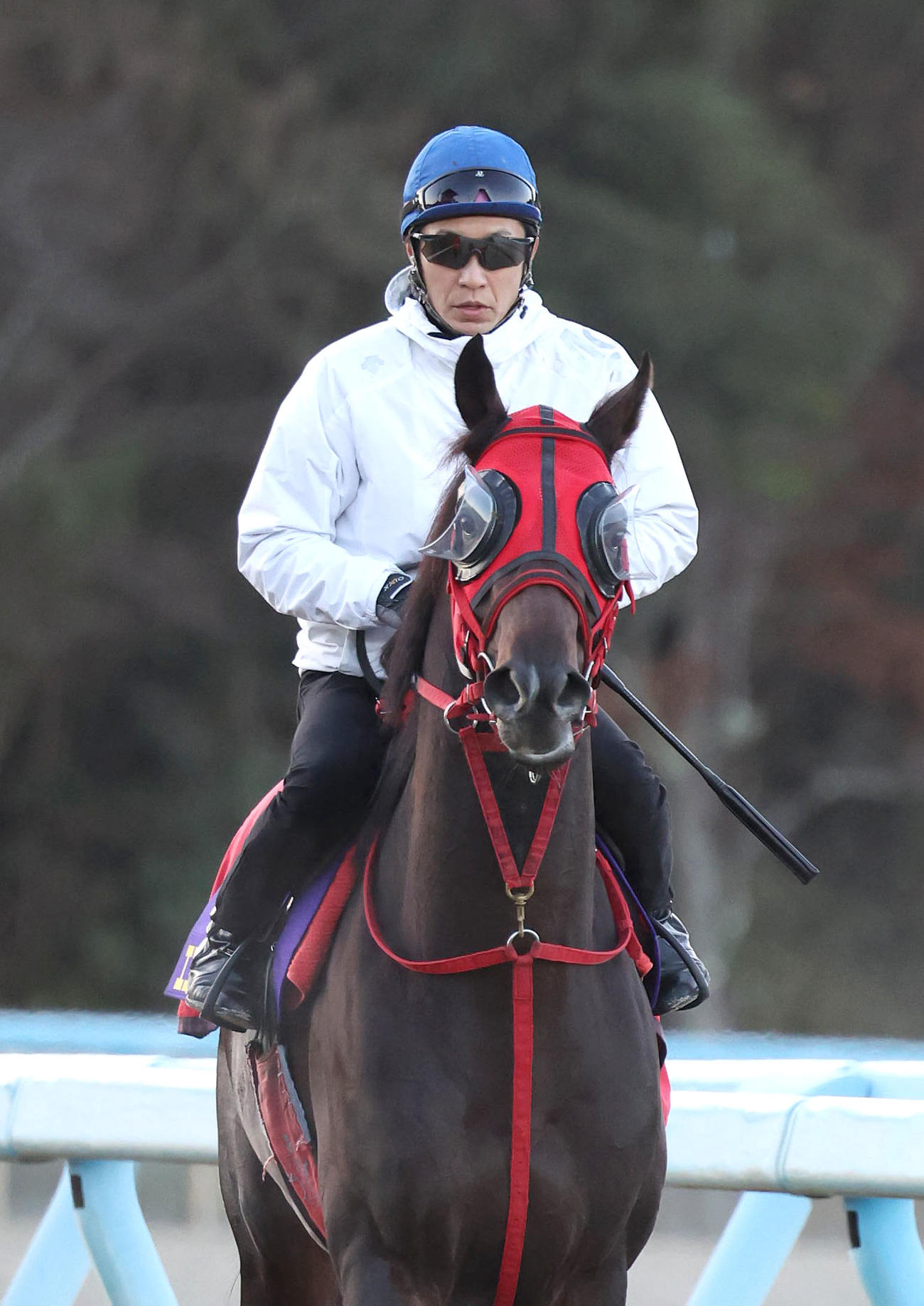 武豊騎手を背に調教から引き揚げるエコロヴァルツ（撮影・白石智彦）