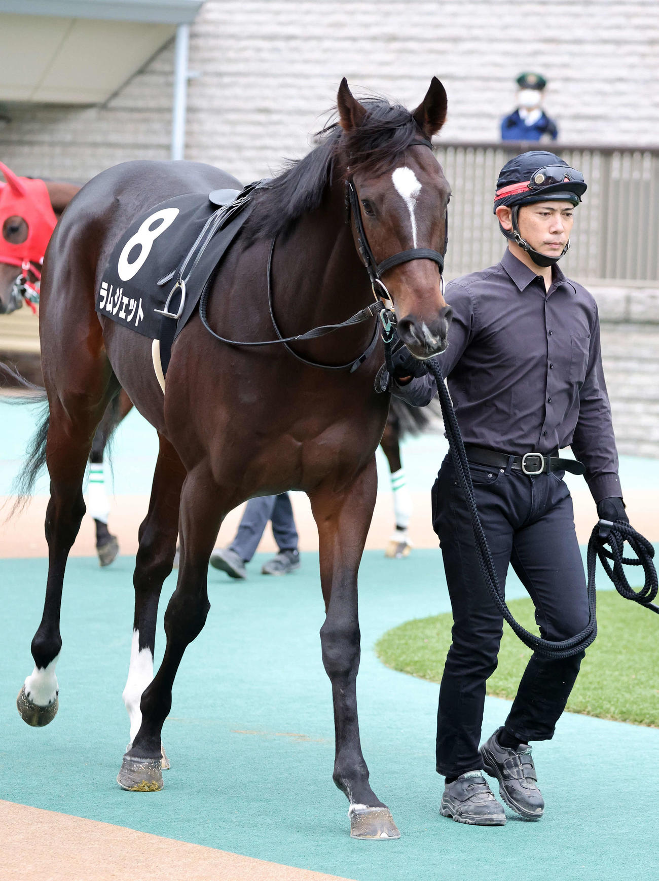 11月11日、オキザリス賞に出走したラムジェット