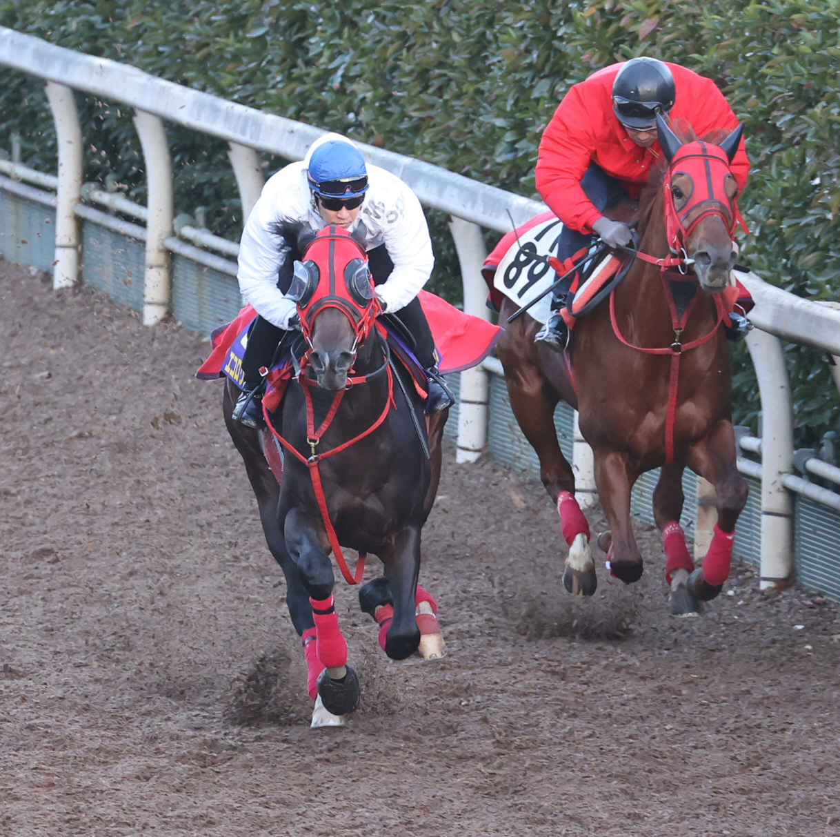 武豊騎手を背に坂路を併せ馬で追い切るエコロヴァルツ（左）