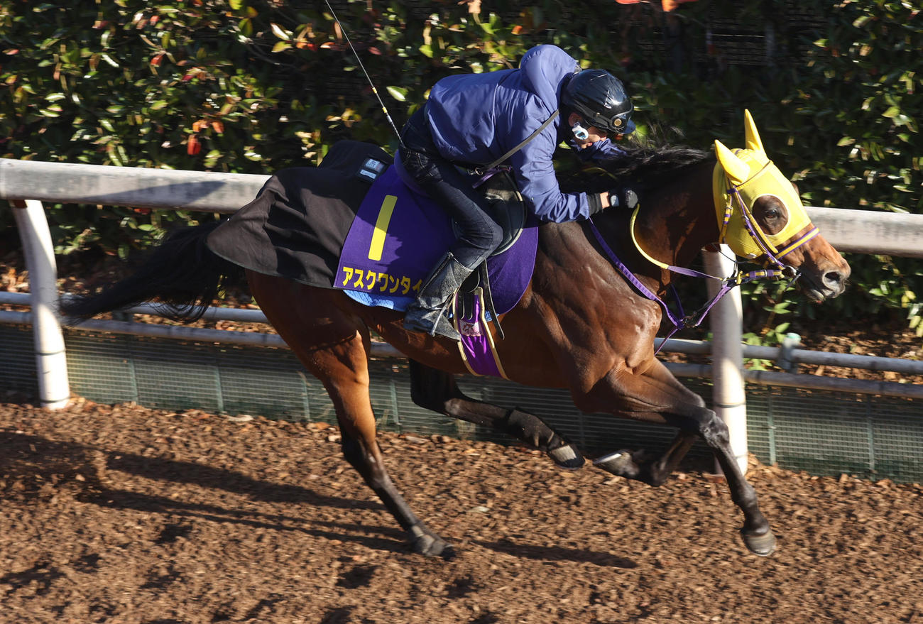 坂路にて併せ馬で追い切るアスクワンタイム