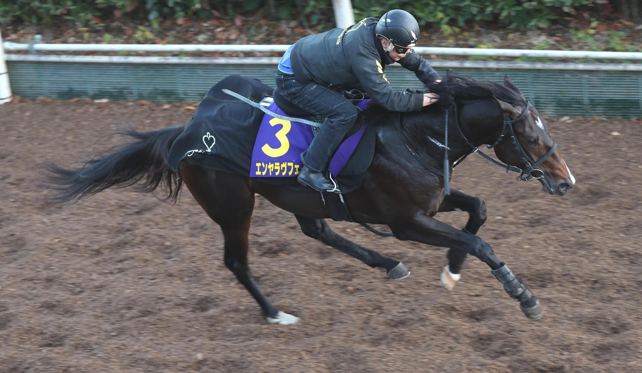 坂路にて併せ馬で追い切るエンヤラヴフェイス