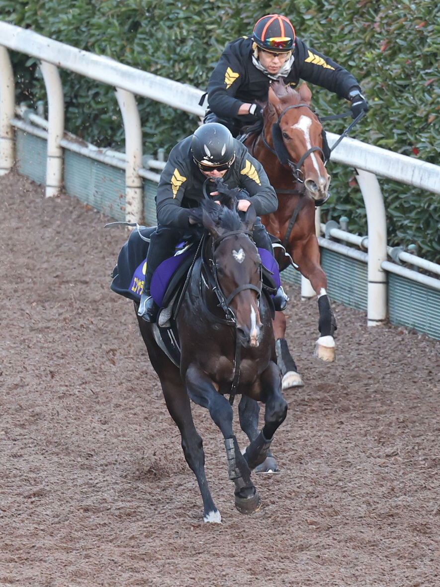 坂路にて併せ馬で追い切るエンヤラヴフェイス（左）