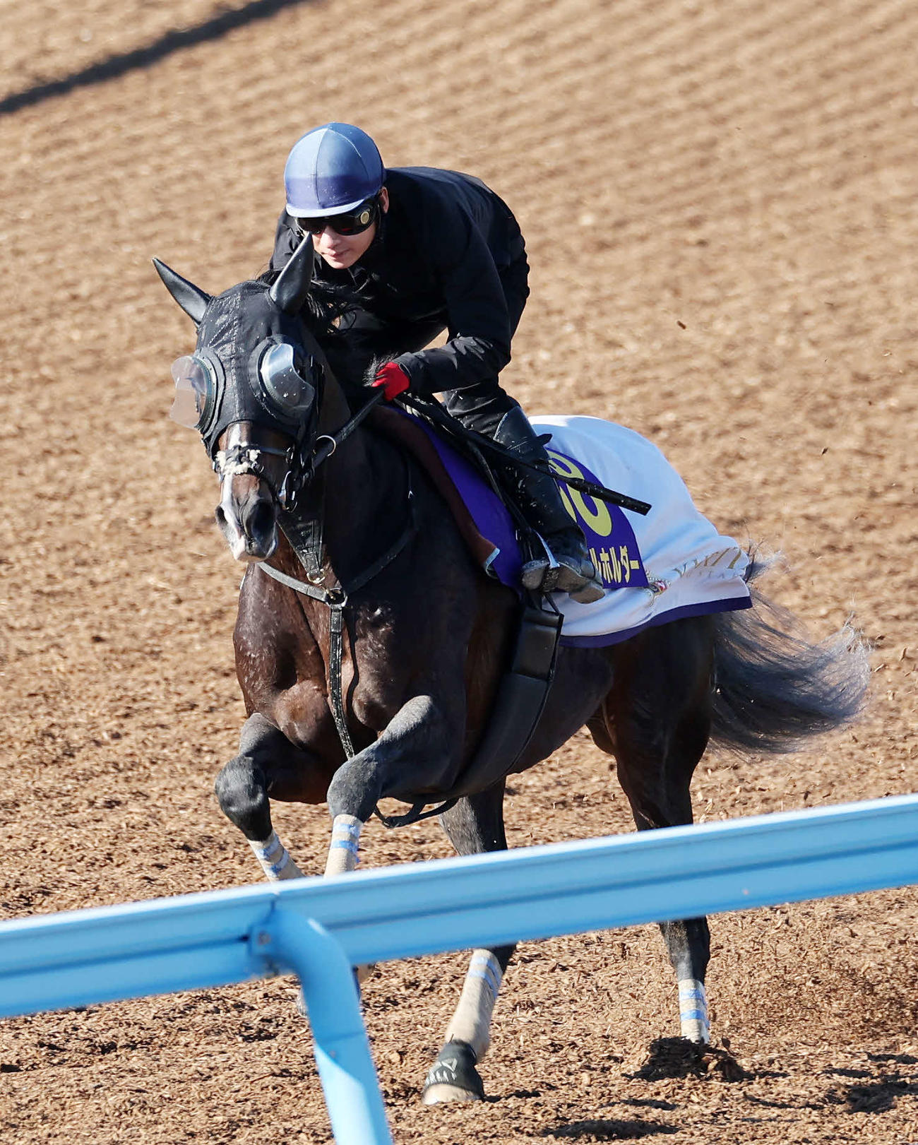 美浦ウッドで追い切るタイトルホルダー（撮影・鈴木正人）