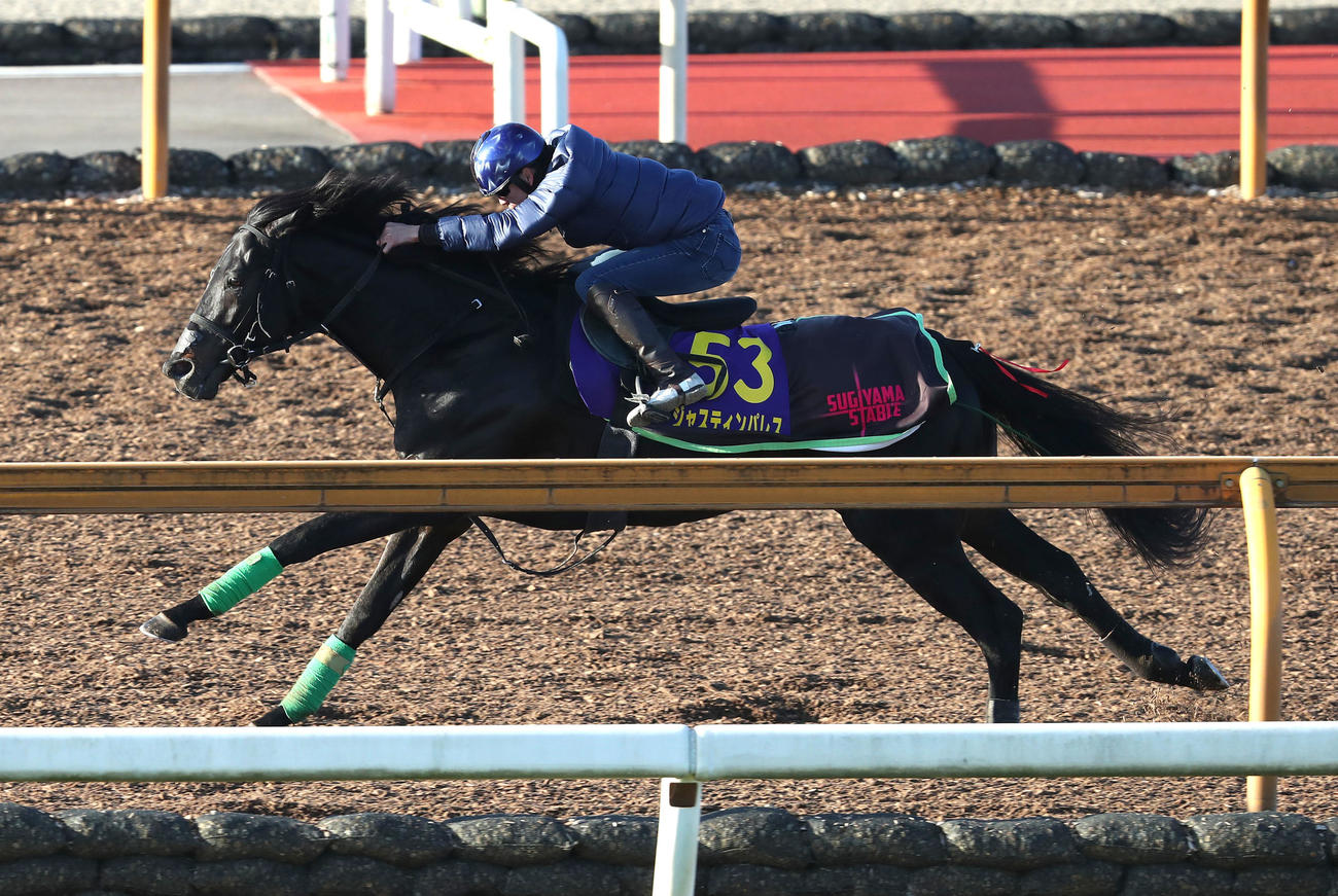 横山武騎手を背にCウッドを併せ馬で追い切るジャスティンパレス（撮影・白石智彦）