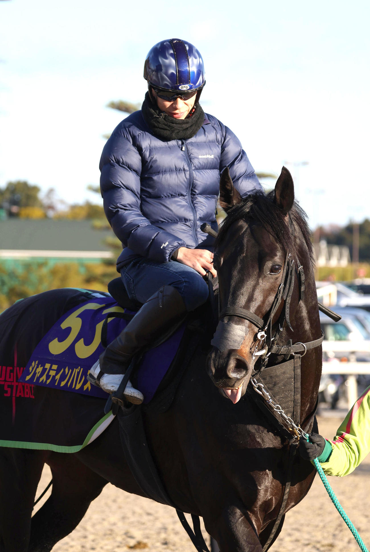 横山武騎手を背にスタンド前で運動するジャスティンパレス（撮影・白石智彦）