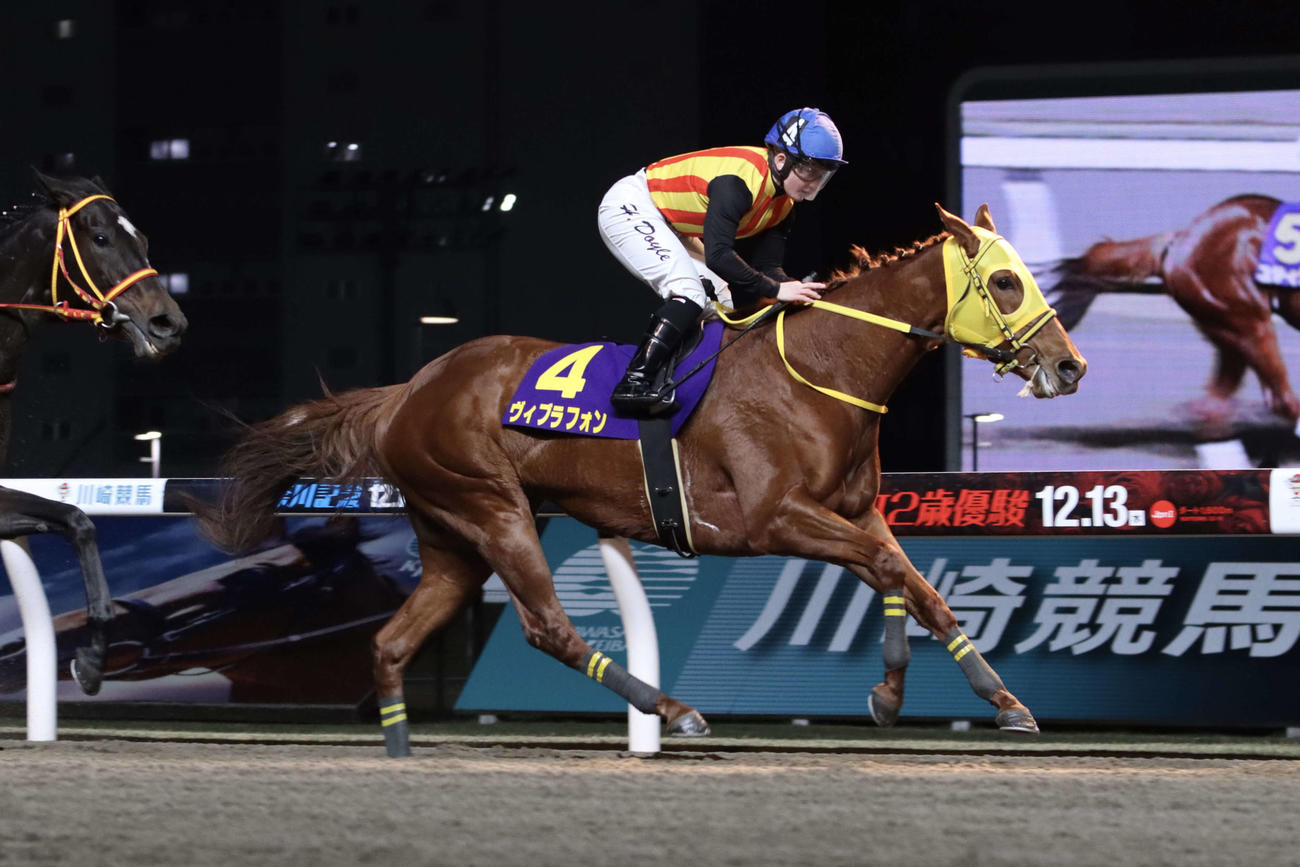 神奈川記念を制したヴィブラフォンとドイル騎手