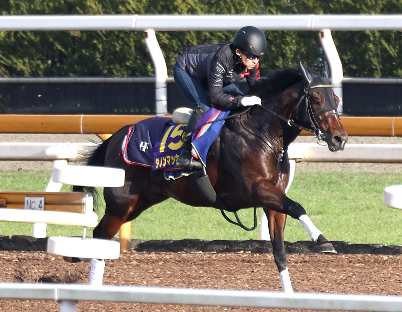 Cウッドを単走で追い切るダノンマッキンリー（撮影・白石智彦）