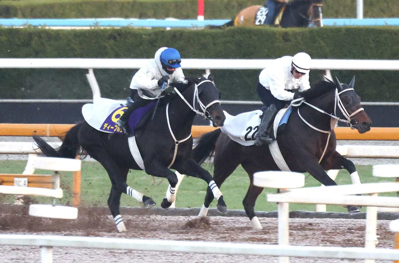 荻野琢騎手を背にディープボンド（左）はCウッドでアウトレンジと併せて追い切られた（撮影・白石智彦）